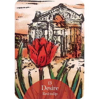 Bộ Bài Language of Flowers Oracle (Mystic House Tarot Shop) - Bài Gốc Authentic Chính Hãng 100%