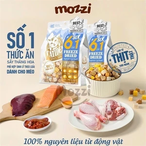 Snack cho mèo Thịt tươi sấy thăng hoa CatIdea Freeze Dried Gói 100g