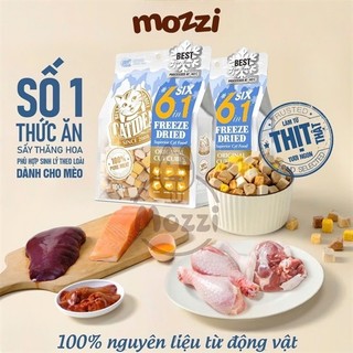 Snack cho mèo Thịt tươi sấy thăng hoa CatIdea Freeze Dried Gói 100g