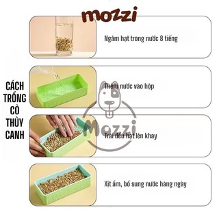 Bộ Kit trồng cỏ catnip thủy canh kèm hạt giống cho mèo