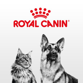 [4kg - 10kg] Thức ăn hạt Royal Canin Fit Fit32 cho mèo vận động nhiều