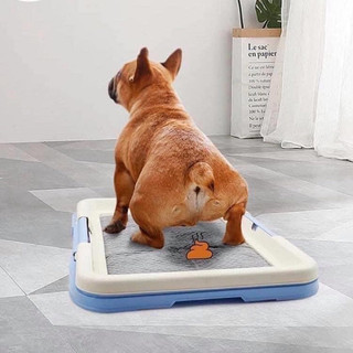 Tã lót chuồng chó mèo Absorb Plus than hoạt tính 96h của Mỹ