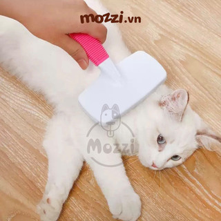 Lược chải lông chó mèo có đầu chải mềm kèm lược gỡ lông
