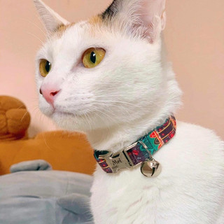 [Nhắn tin thông tin khắc thẻ]Cat Collar Pro Dây vải cao cấp khắc tên cho mèo - Pettag Mozzi