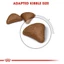 Thức ăn hạt Royal Canin Hairball Care tiêu búi lông cho mèo