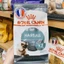 Thức ăn hạt Royal Canin Hairball Care tiêu búi lông cho mèo