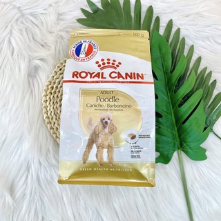 [500g - 1.5kg] Thức ăn hạt Royal canin Poodle Puppy Adult cho chó lông xoăn
