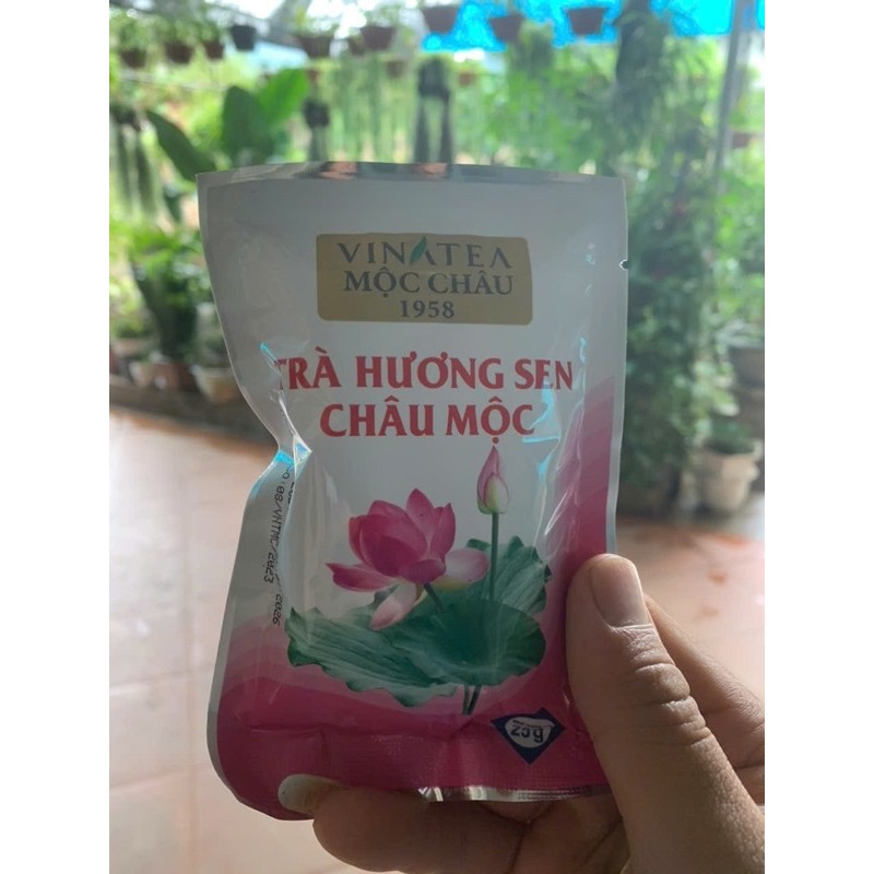 Trà hương sen Châu Mộc ( TRÀ HƯƠNG SEN CHÂU MỘC 1 HỘP 500gr/ 20gói x25gr/gói