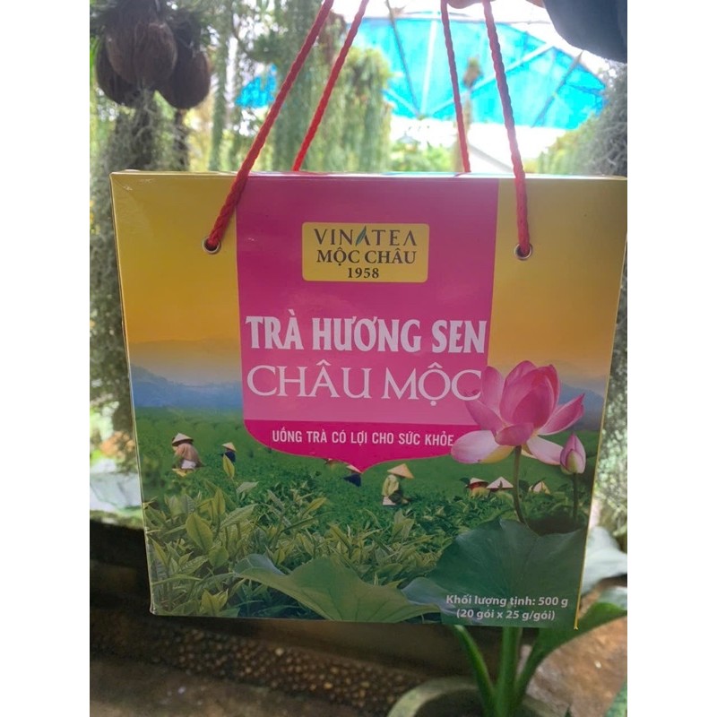 Trà hương sen Châu Mộc ( TRÀ HƯƠNG SEN CHÂU MỘC 1 HỘP 500gr/ 20gói x25gr/gói