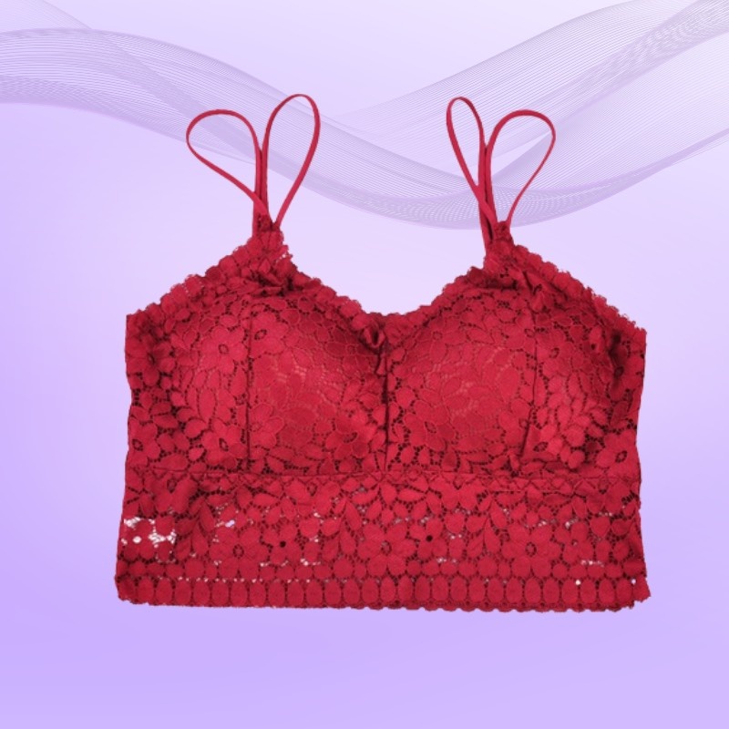 Áo lót ngực dạng bra đệm mỏng phối ren hoa siêu xinh DORIS - 8812
