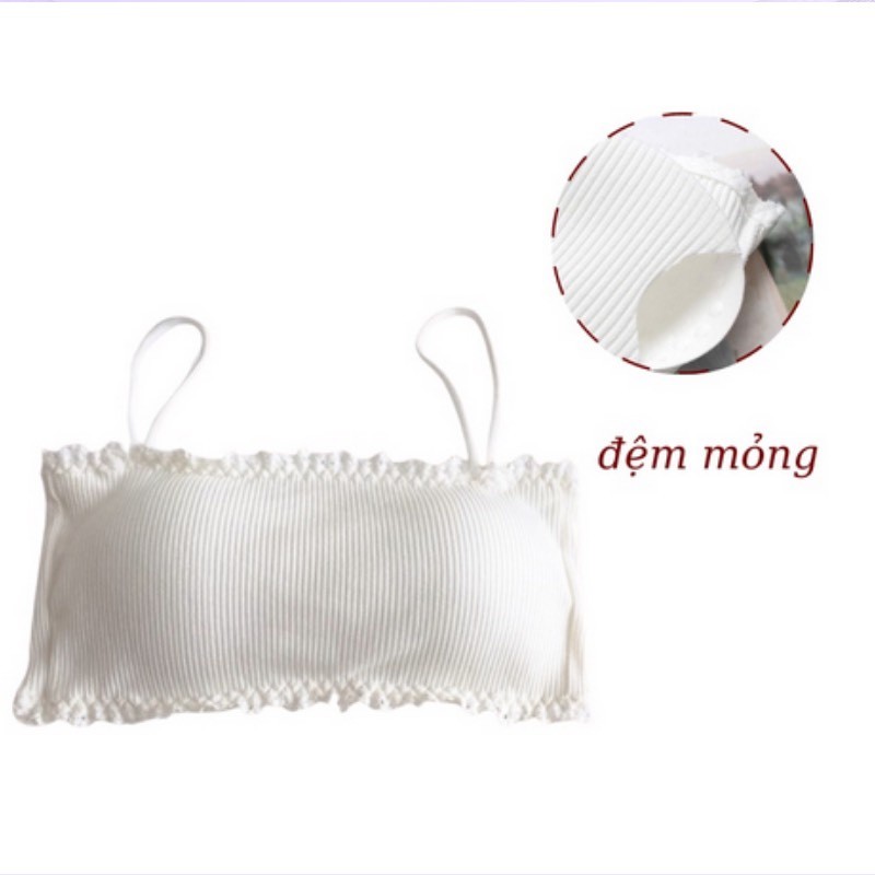 Áo Lót Ngực Cotton Gân Tăm Siêu Co Dãn Viền Ren Xinh Xắn DORIS A636