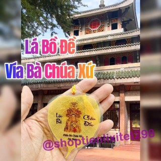 Lá Tự Nhiên 100.% - Lá Bồ Đề Vía Bà Chúa Xứ Châu Đốc trang trí phong thủy, xin lộc làm ăn