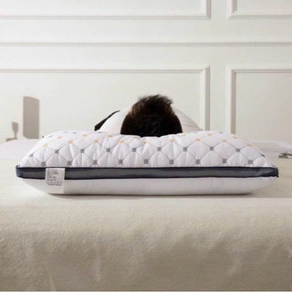 Ruột gối Trần quả trám cao cấp siêu êm kích thước 50*70