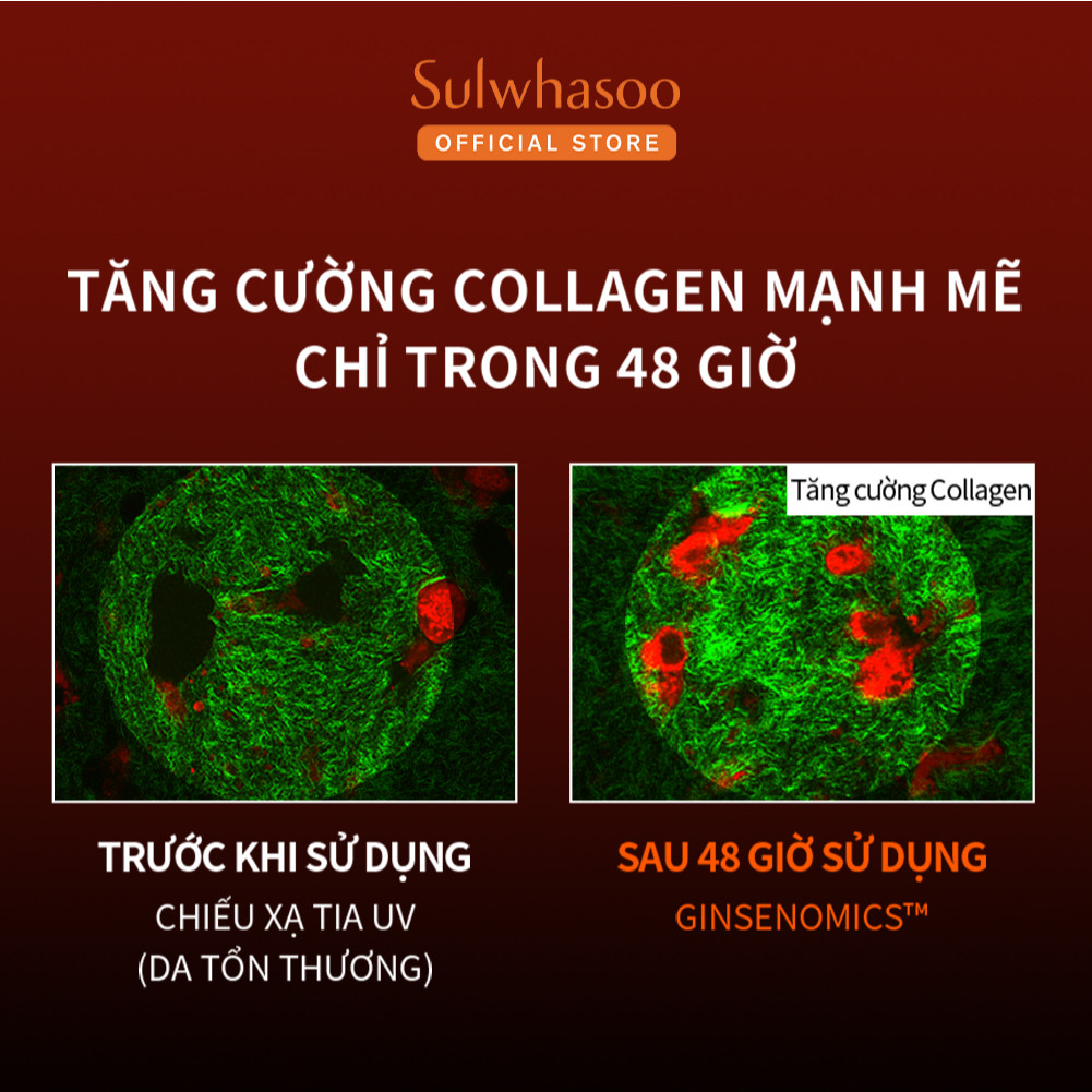 Ảnh Bộ Tinh Chất Nhân Sâm Cô Đặc Dưỡng Da Săn Chắc 15ml Sulwhasoo CGR Serum Trial Kit (3 món) 2