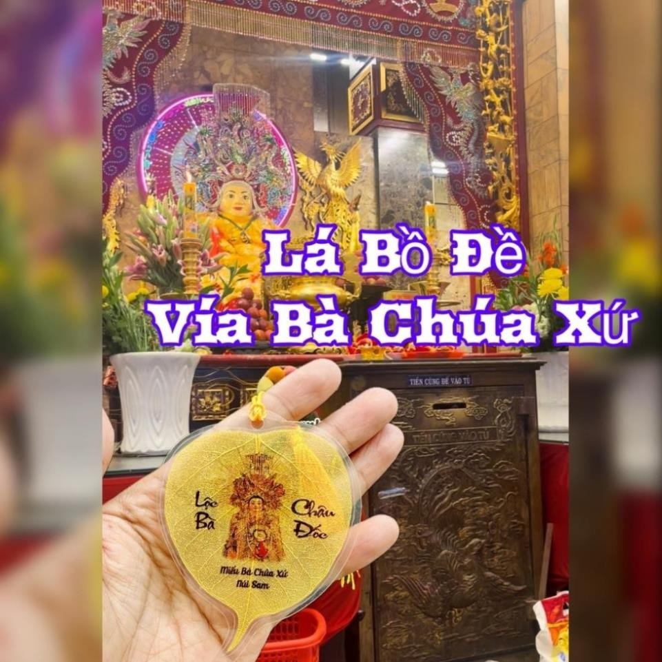 [SP LOẠI 1] Lá Tự Nhiên 100.% - Lá Bồ Đề Vía Bà Chúa Xứ Châu Đốc trang trí phong thủy, xin lộc làm ăn
