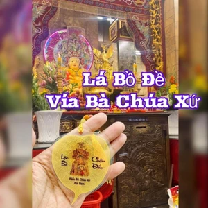 Lá Tự Nhiên 100.% - Lá Bồ Đề Vía Bà Chúa Xứ Châu Đốc trang trí phong thủy, xin lộc làm ăn