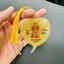 Lá Tự Nhiên 100.% - Lá Bồ Đề Vía Bà Chúa Xứ Châu Đốc trang trí phong thủy, xin lộc làm ăn