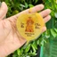 Lá Tự Nhiên 100.% - Lá Bồ Đề Vía Bà Chúa Xứ Châu Đốc trang trí phong thủy, xin lộc làm ăn