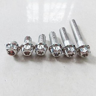 [Tặng l.đền lốc] Ốc lốc máy 6li trụ Thái,Salaya INOX 304 (Ốc Salaya 6li đầu trụ Thái D3 từ 10mm tới 110mmm)