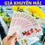 Tiền Mã Đáo Thành Công Macao Lưu Niệm Hình Con Ngựa và Cá Chép Vượt Vũ Môn Lì Xì Tết Ý Nghĩa