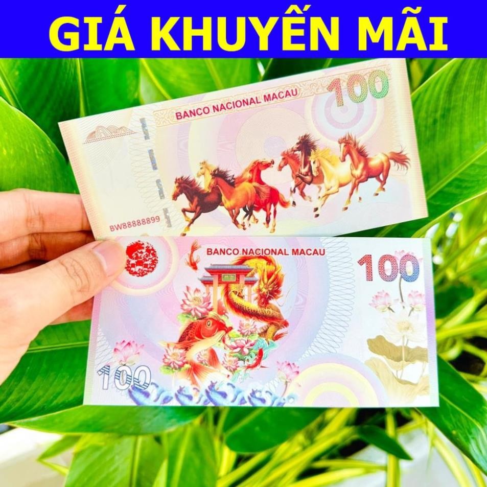 Tiền Phong Thủy Mã Đáo Thành Công Macau Kỷ Niệm Niệm Hình Con Ngựa Có Bảo An Siêu Đẹp - Biếu Tặng