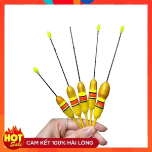 Phao điện câu lục đầu cần ngày và đêm