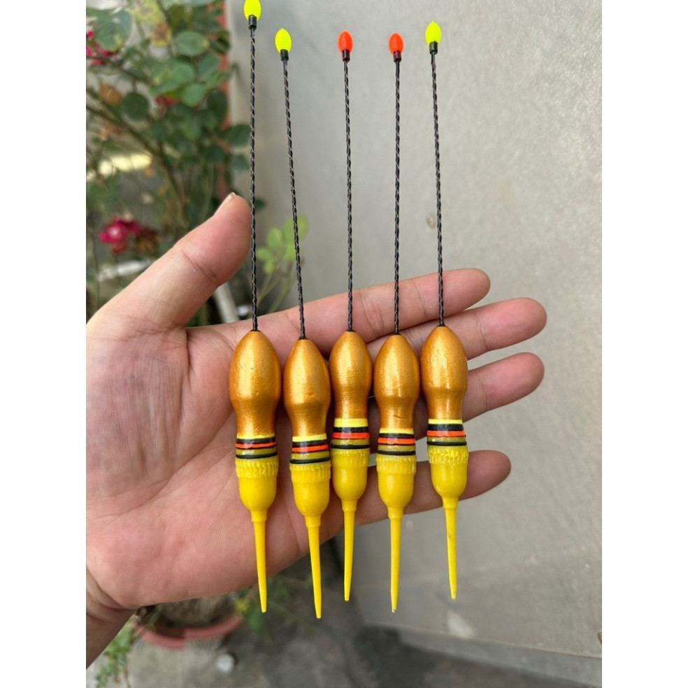 Phao điện câu lục đầu cần ngày và đêm