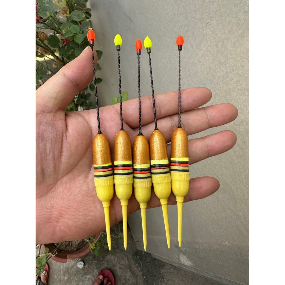 Phao điện câu lục đầu cần ngày và đêm