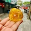 Sét Bát Tụ Bảo Kim Ngân Thủy Tinh kèm túi Xu Âm Dương Nam 7 Xu , Nữ 9 Xu bằng Pha Lê năm mới