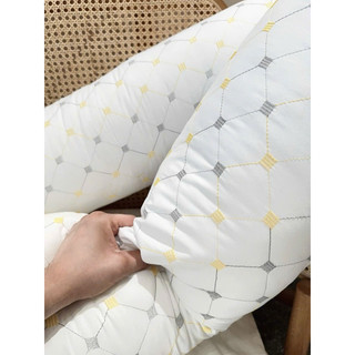 Ruột gối ôm Trần Trám băng Lạnh siêu mềm siêu mát phiên bản mới kích thước 32x100cm