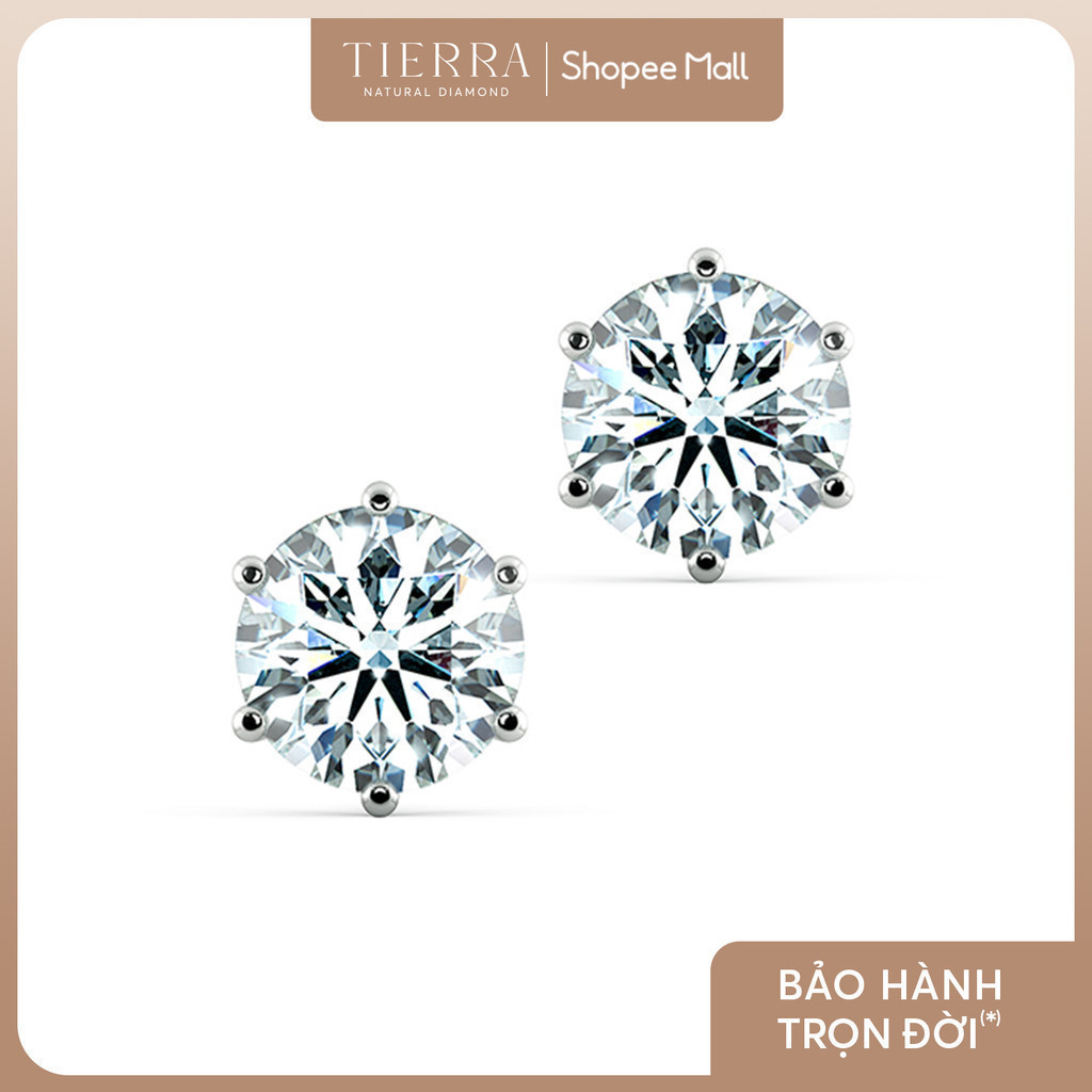[CHAT TRƯỚC KHI ĐẶT] Bông Tai Tierra Stud BBT1104, Vàng 14K, Đính Đá CZ, Thiết Kế Nhẹ Nhàng Đơn Giản