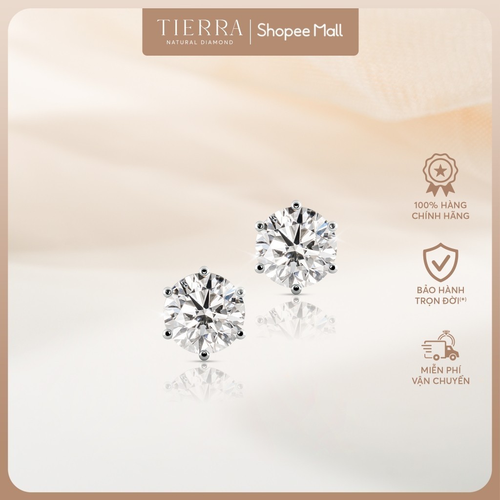 [CHAT TRƯỚC KHI ĐẶT] Bông Tai Tierra Stud BBT1104, Vàng 14K, Đính Đá CZ, Thiết Kế Nhẹ Nhàng Đơn Giản
