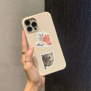 Set 20/60/ 100 sticker mèo cute meme dán nón mũ bảo hiểm laptop vali sổ tay đàn guitar điện thoại xe máy tủ lạnh