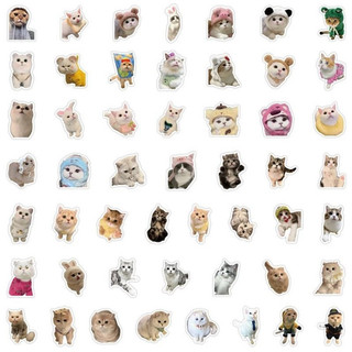 Set 20/60/ 100 sticker mèo cute meme dán nón mũ bảo hiểm laptop vali sổ tay đàn guitar điện thoại xe máy tủ lạnh