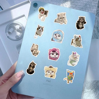 Set 20/60/ 100 sticker mèo cute meme dán nón mũ bảo hiểm laptop vali sổ tay đàn guitar điện thoại xe máy tủ lạnh