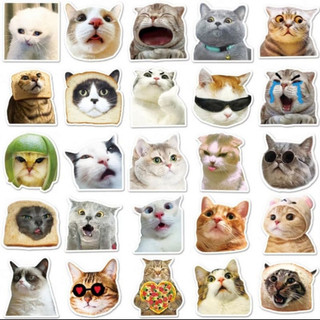 Set combo 50 miếng dán sticker Mèo Meme vui nhộn chống thấm nước dán nón mũ bảo hiểm laptop vali sổ sách xe máy đàn