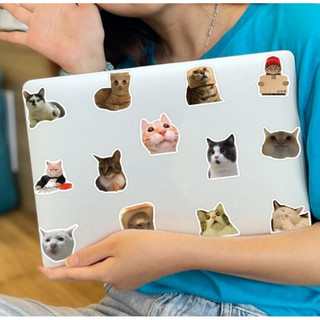 Set combo 50 miếng dán sticker Mèo Meme vui nhộn chống thấm nước dán nón mũ bảo hiểm laptop vali sổ sách xe máy đàn