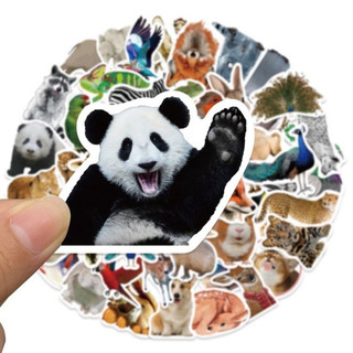 Set combo 50 miếng dán sticker động vật dán nón mũ bảo hiểm laptop vali sổ tay đàn guitar điện thoại xe máy