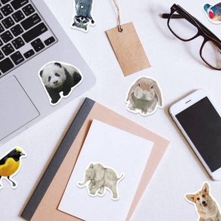 Set combo 50 miếng dán sticker động vật dán nón mũ bảo hiểm laptop vali sổ tay đàn guitar điện thoại xe máy