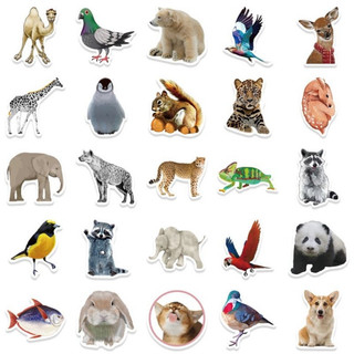 Set combo 50 miếng dán sticker động vật dán nón mũ bảo hiểm laptop vali sổ tay đàn guitar điện thoại xe máy
