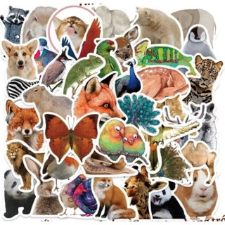 Set combo 50 miếng dán sticker động vật dán nón mũ bảo hiểm laptop vali sổ tay đàn guitar điện thoại xe máy