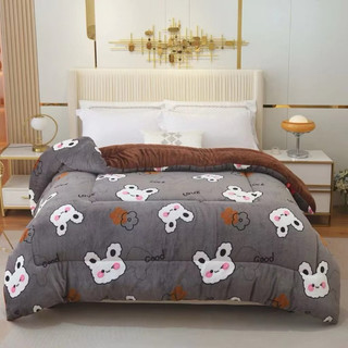 Chăn Lông Cừu Yuki Chăn Lông Mùa Đông Nặng 2,6-3 kg,  Mền YUKI Dày Mịn Ấm Nhanh, Giữ Nhiệt Tốt