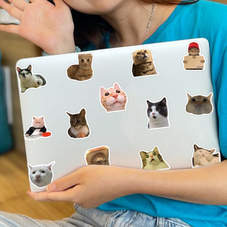 Ngẫu Nhiên 10 / 50 Mảnh Mèo Vui Nhộn DIY Sáng Tạo Động Cơ / Ô Tô / Mũ Bảo Hiểm Dán Nhà Decal Chống Thấm Nước