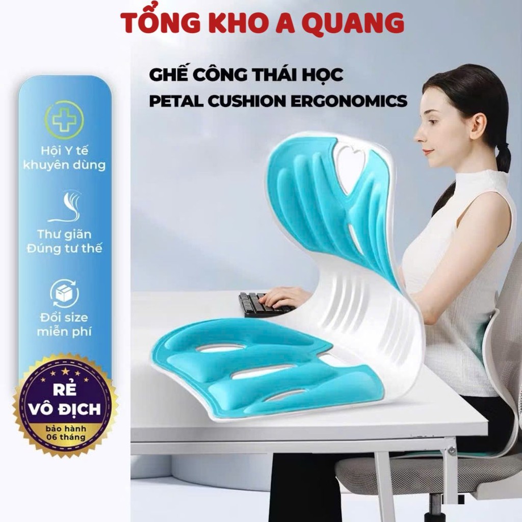 Ghế chống đau lưng , Ghế giúp ngồi thẳng lưng phù hợp trẻ em, sinh viên, người lớn , GHẾ CÔNG THÁI HỌC: GHECONGTHAIHOC
