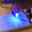LED 2 màu 5mm đục dương chung