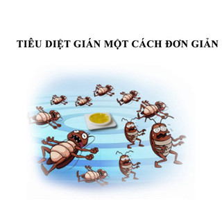 Vỉ 8 Viên Diệt Gián  An Toàn và Hiệu Quả - Giá tốt.