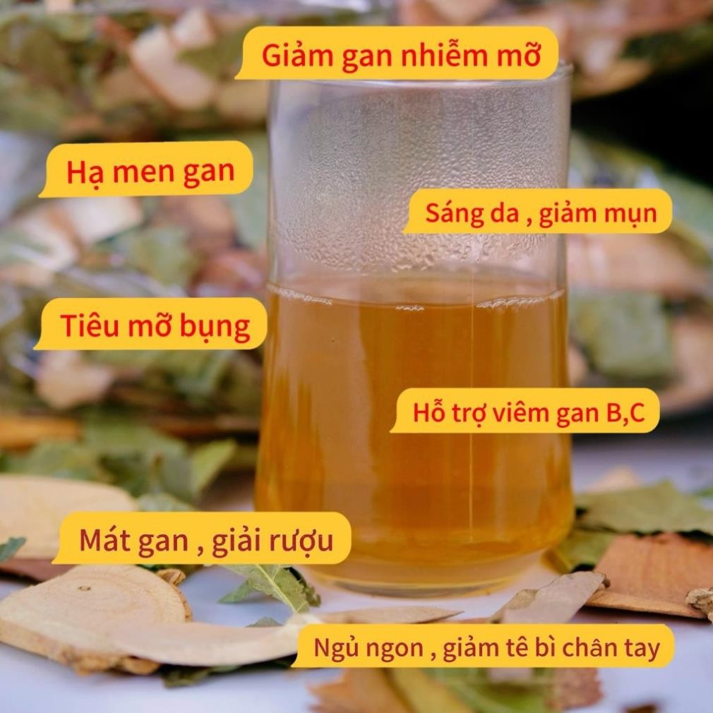 Cây lá gan rừng giúp giải độc gan, giải rượu, hỗ trợ thanh nhiệt mát gan, tăng cường chức năng gan