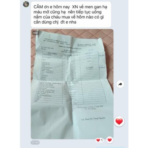 Lá gan rừng ( Trà Thanh Nhiệt ) Vương Ngọc Thảo - Đặc sản Tây Bắc