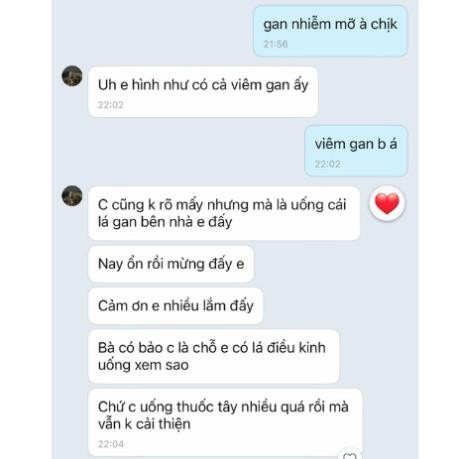 Lá gan rừng ( Trà Thanh Nhiệt ) Vương Ngọc Thảo - Đặc sản Tây Bắc