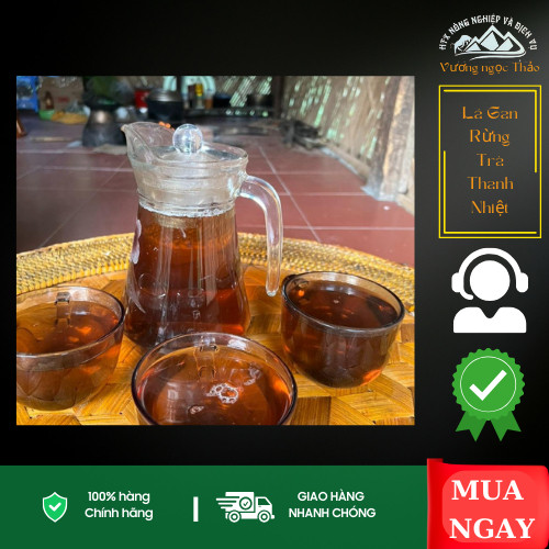 Lá gan rừng ( Trà Thanh Nhiệt ) Vương Ngọc Thảo - Đặc sản Tây Bắc